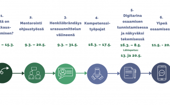 Koulutuskokonaisuuden kuusi osiota.